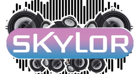 Skylor мультимедиа. Новинки от производителя)