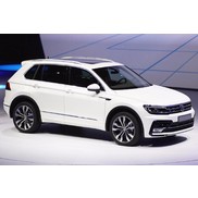 Замок FORTUS MUL-T-LOCK КПП 2409/88 VW Tiguan (2017-)  авт. Tiptronic селект... 023