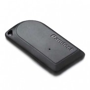 Pandora IS-470/471/477/570/577/590 (метка-брелок)