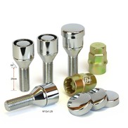 Болты секретные 12*1.25*28мм 372110X2